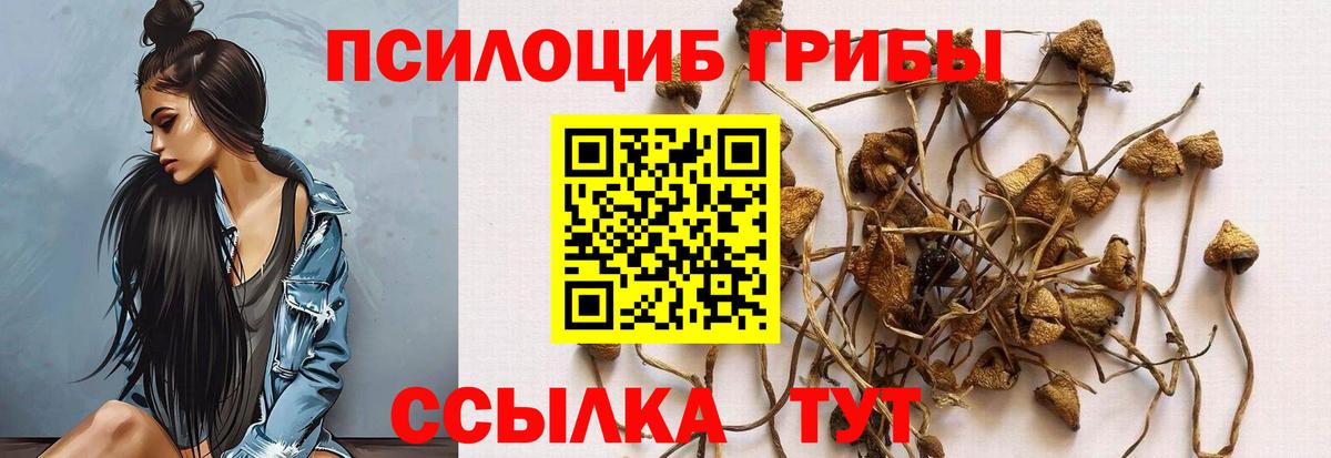 Псилоцибиновые грибы GOLDEN TEACHER Ишимбай